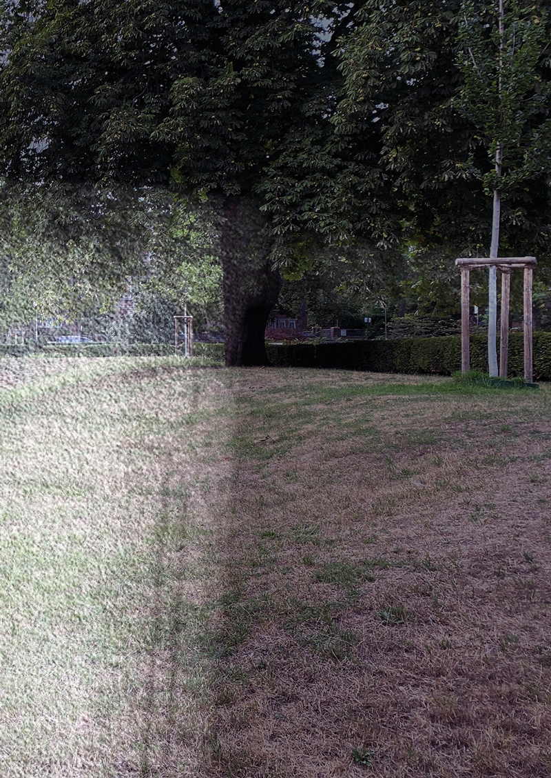 Parkscapes_II.jpg