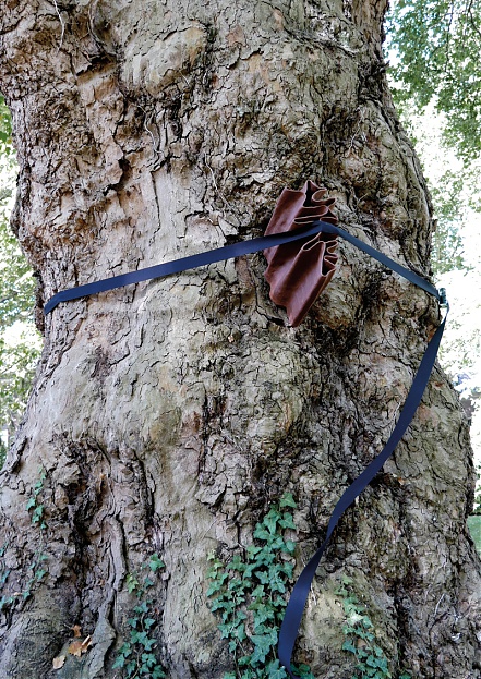 ParkscapesIa.jpg