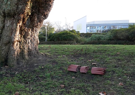 ParkscapesIIIa.jpg