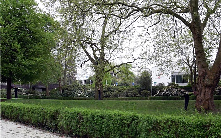 ParkscapesI_g.jpg