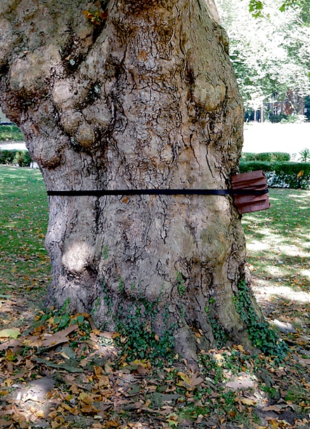 ParkscapesI_i.jpg