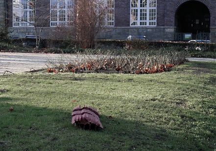 ParkscapesIII_c.jpg